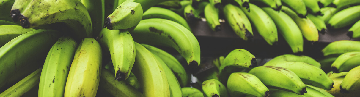 Vários cachos de banana