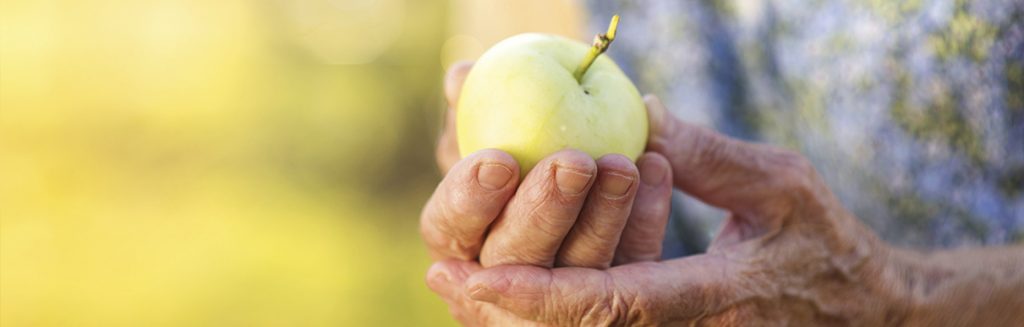 Mãos de pessoa idosa com uma maçã verde com natureza ao fundo: fruta saudável