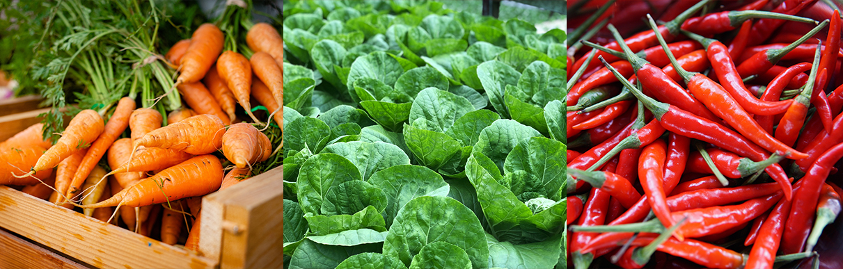 Cenoura, couve e pimenta vermelha: alimentos bons para saúde e preparo de salada