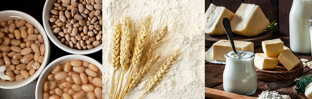 Três imagens lado a lado representando grãos, trigo, leite e queijo